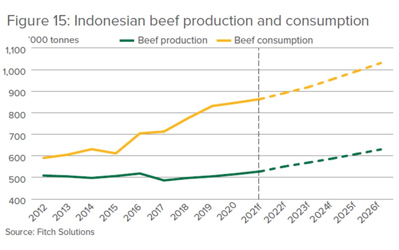 Indonesian beef production and consumption